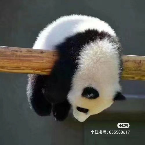 투어크루 이미지