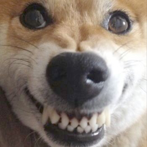 소소하게 이미지