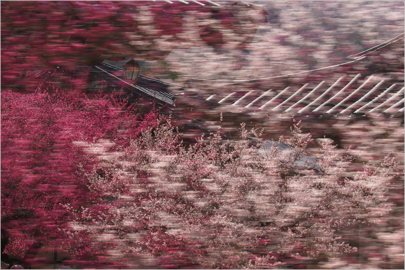 대궐 이미지