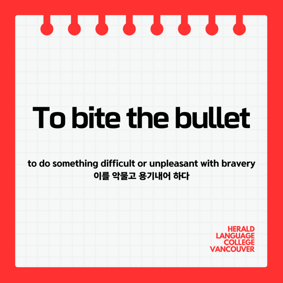 헤럴드어학원 이미지