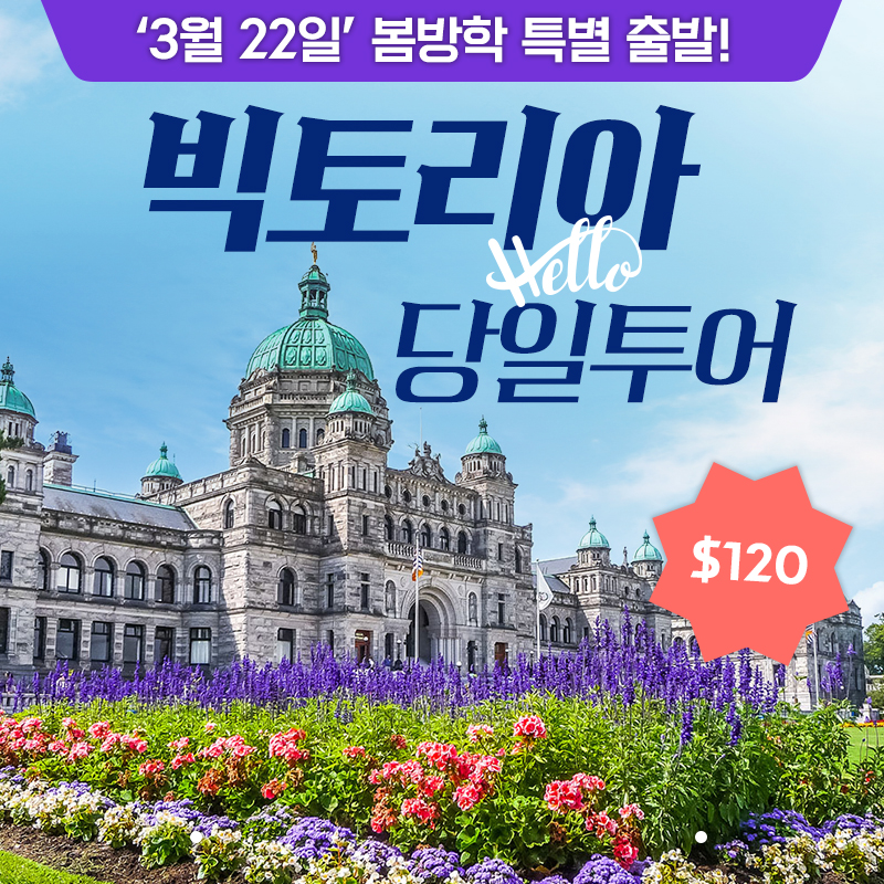 오케이 투어 이미지