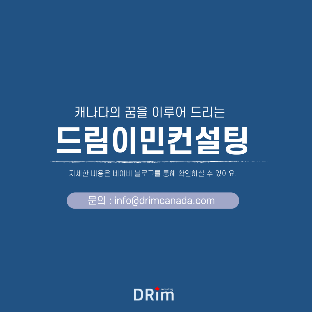 비자드림 이미지