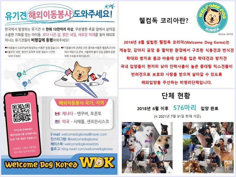 웰컴독 이미지
