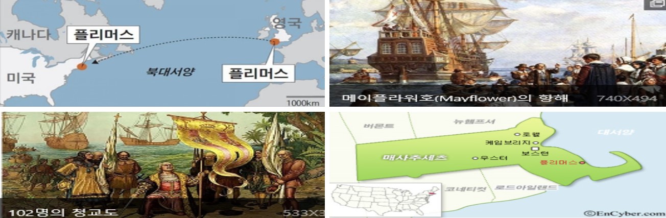 건국플라워 이미지