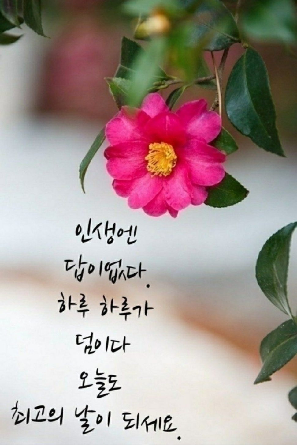 성자 이미지