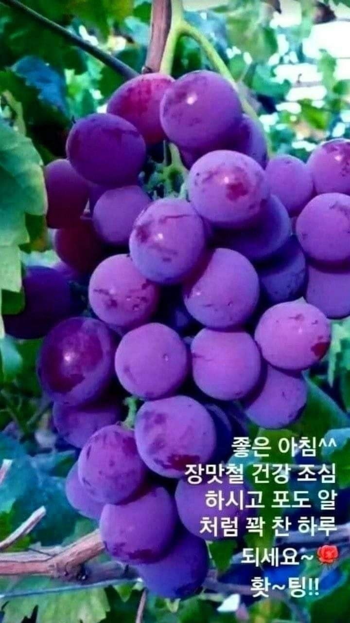 여보게 친구 이미지