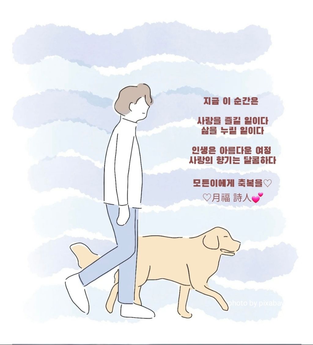 황금나무 이미지