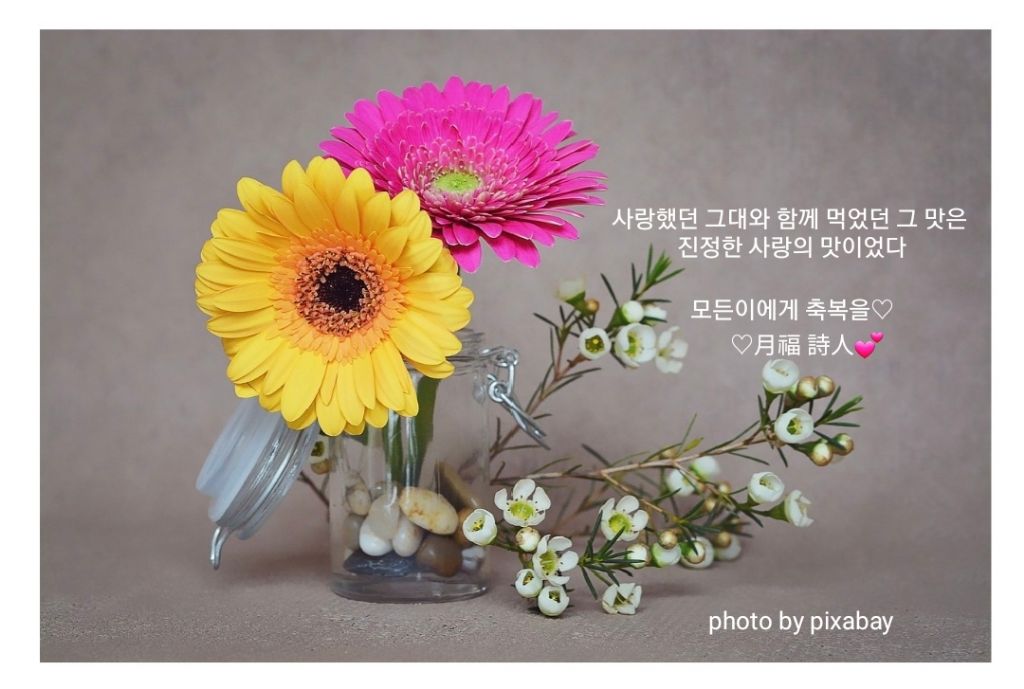 참맛 이미지