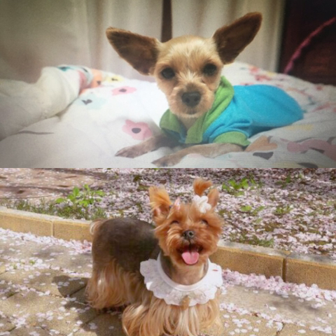 잘자 이미지