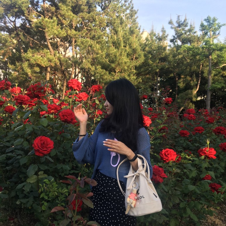RoseDay 이미지
