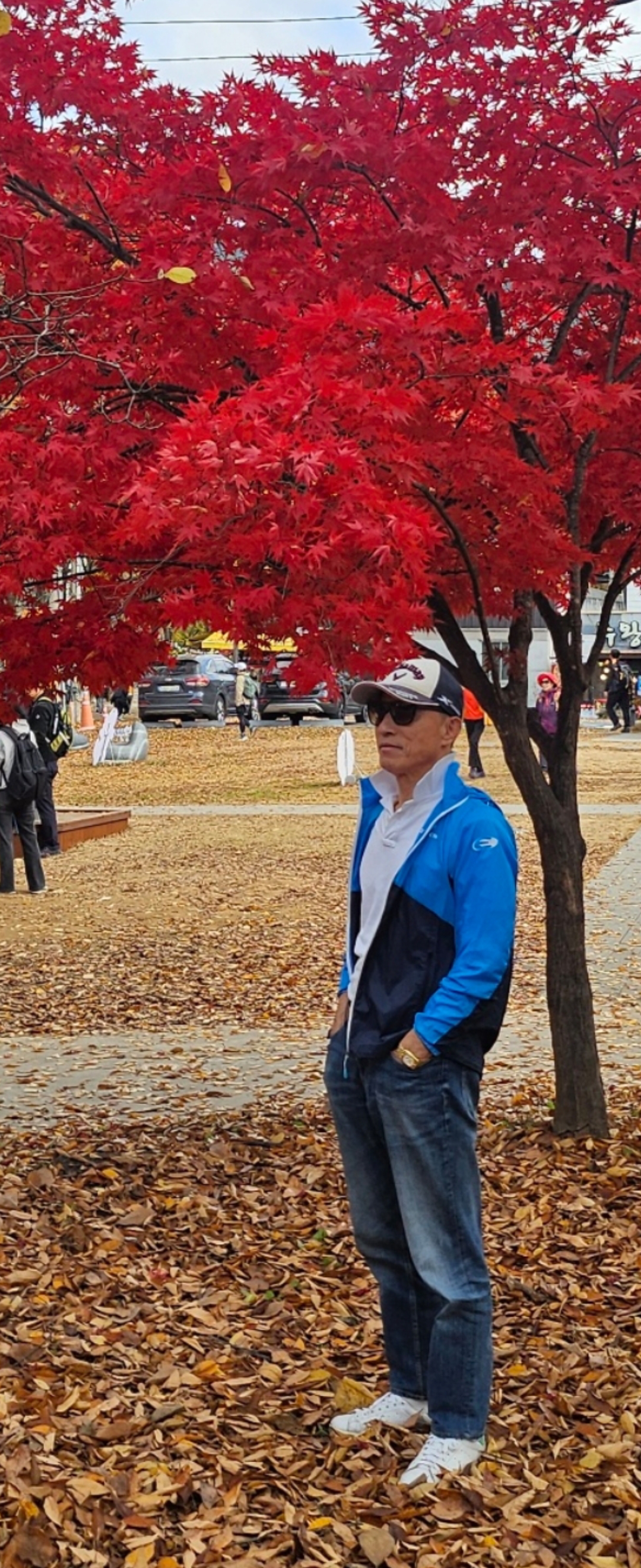 소풍 이미지