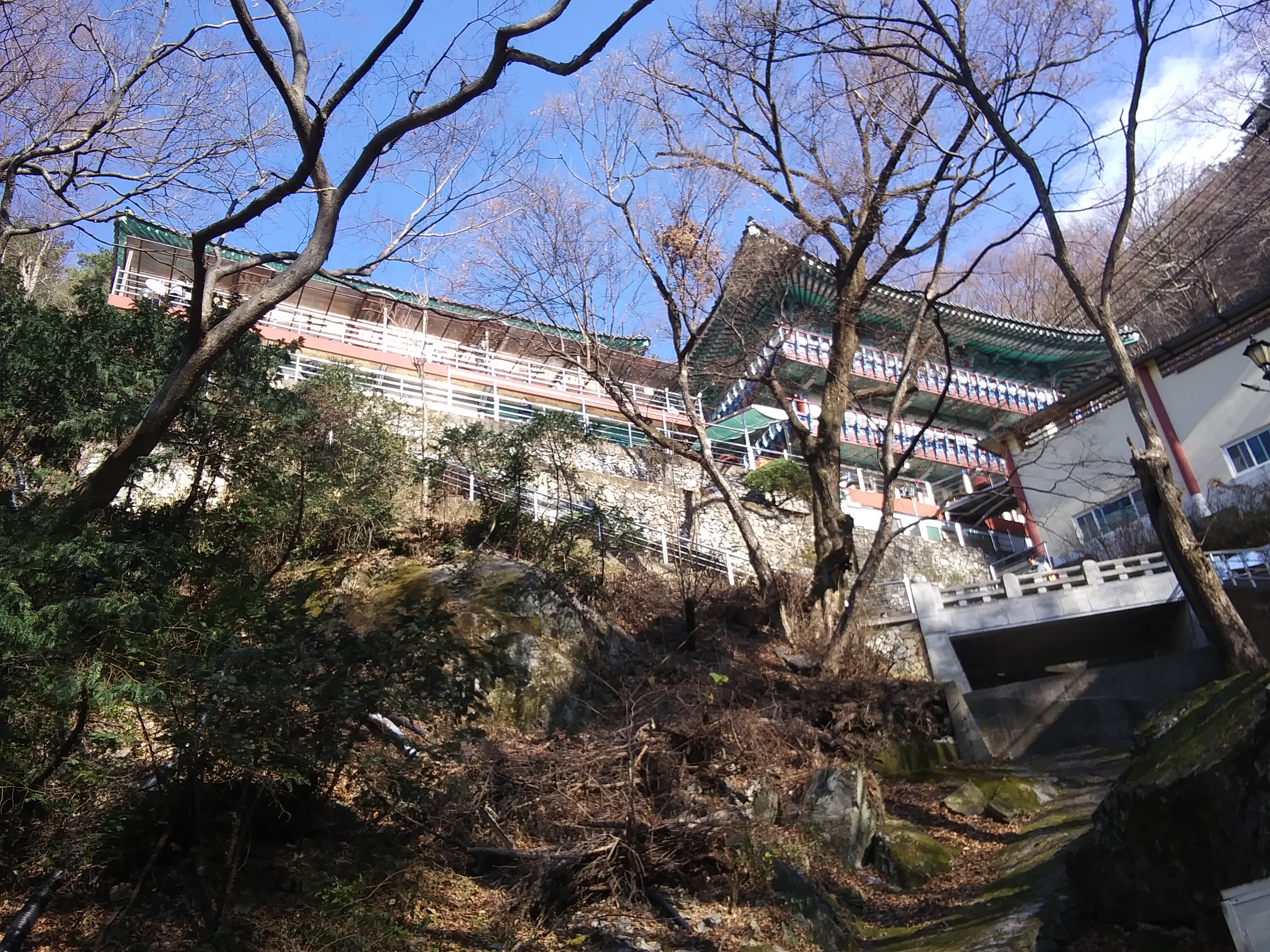 콩부리네 이미지