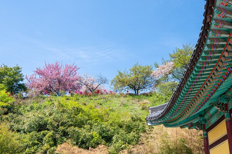 만보네 이미지