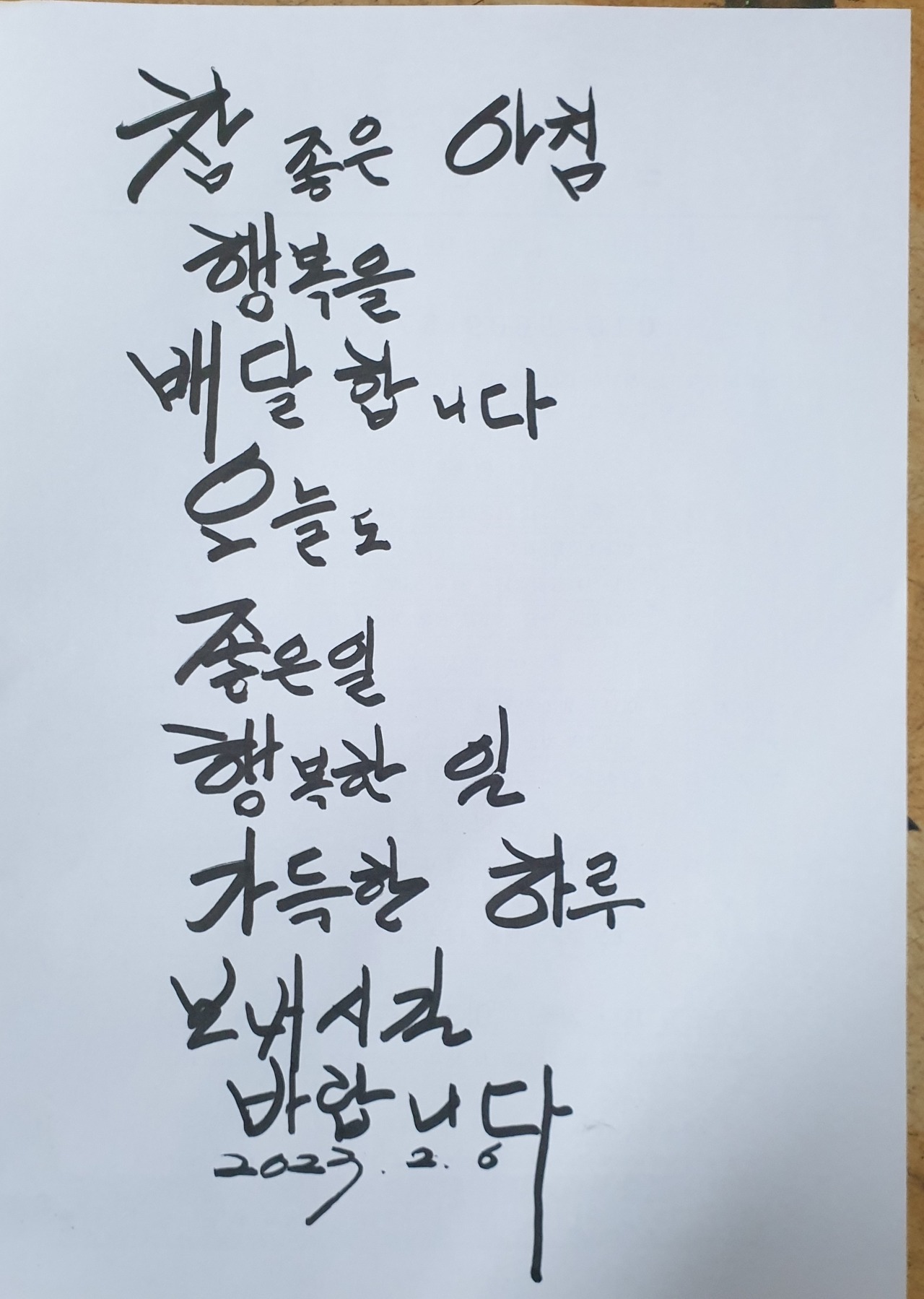 다미보화 이미지