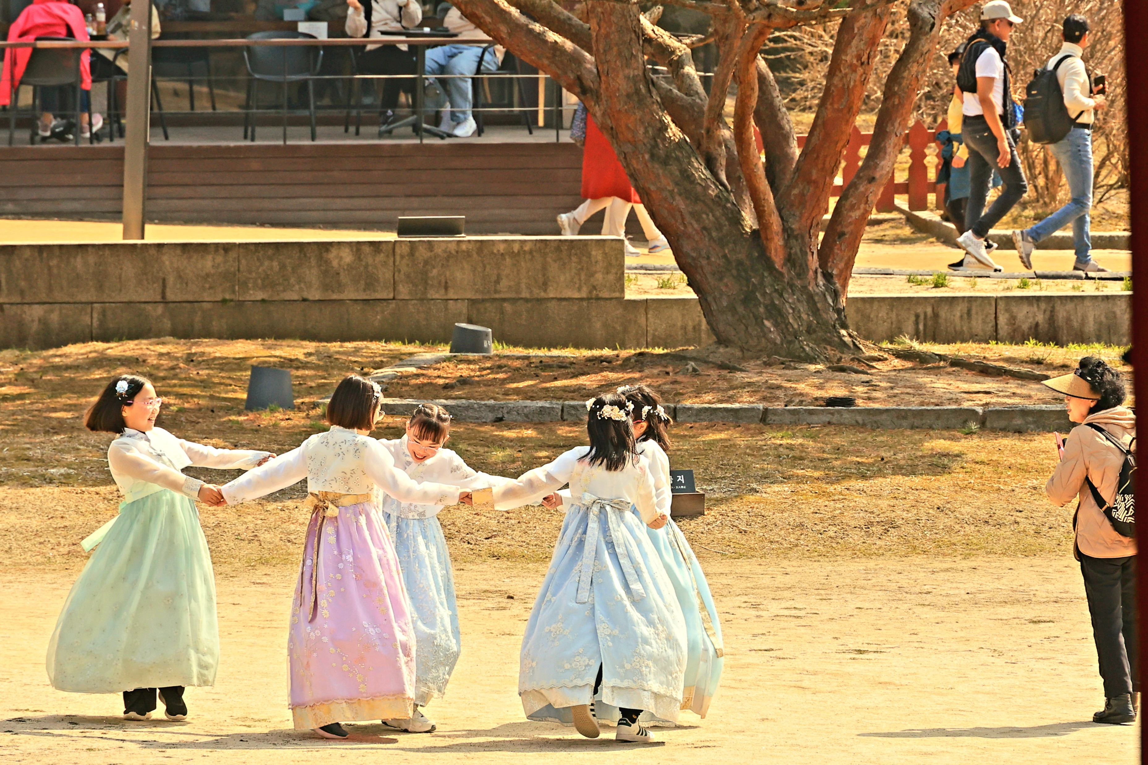 빛바람 이미지