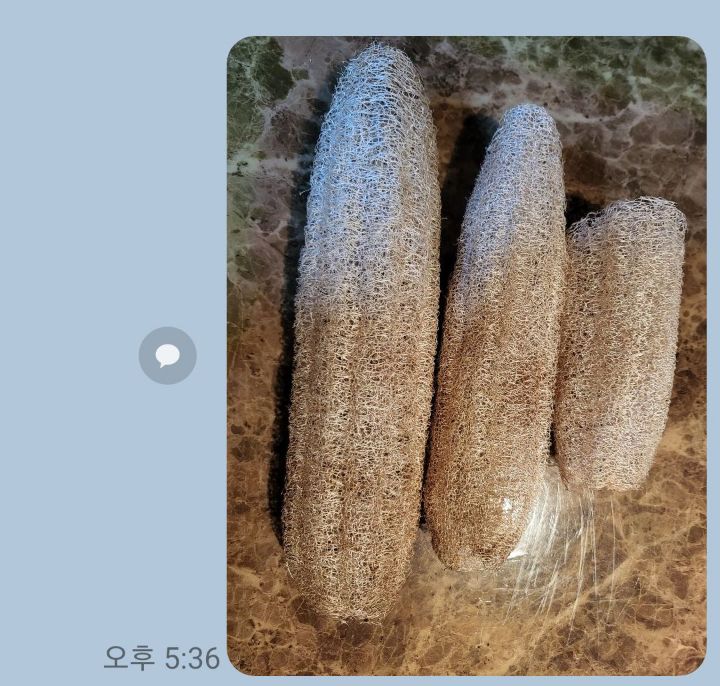 두콩 이미지
