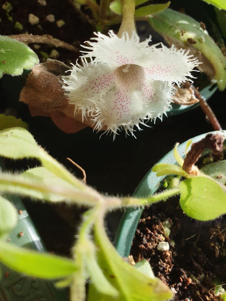 손발공주 이미지
