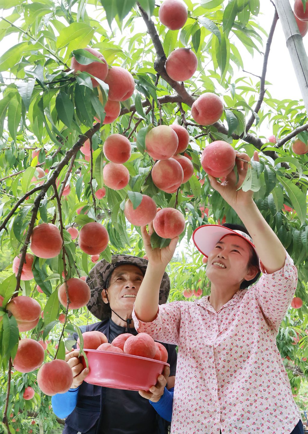 (주)서경 이미지