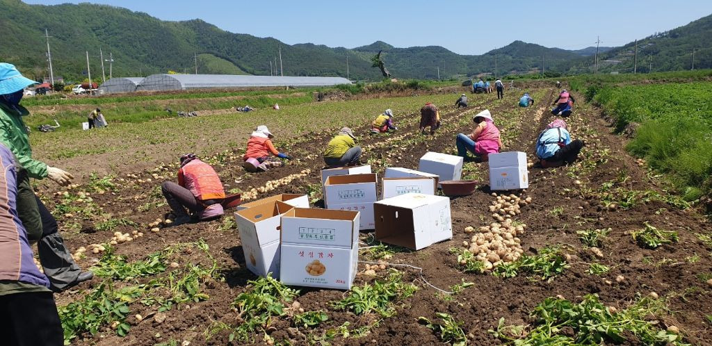 농업회사법인녹색식품(주) 이미지
