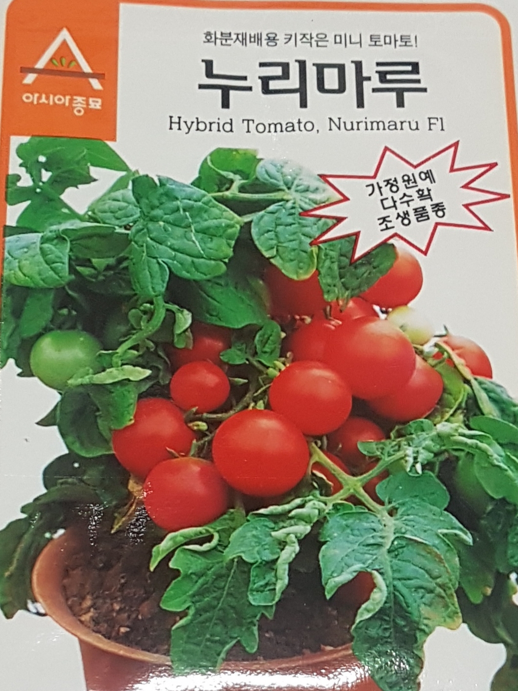 토마토누리 이미지