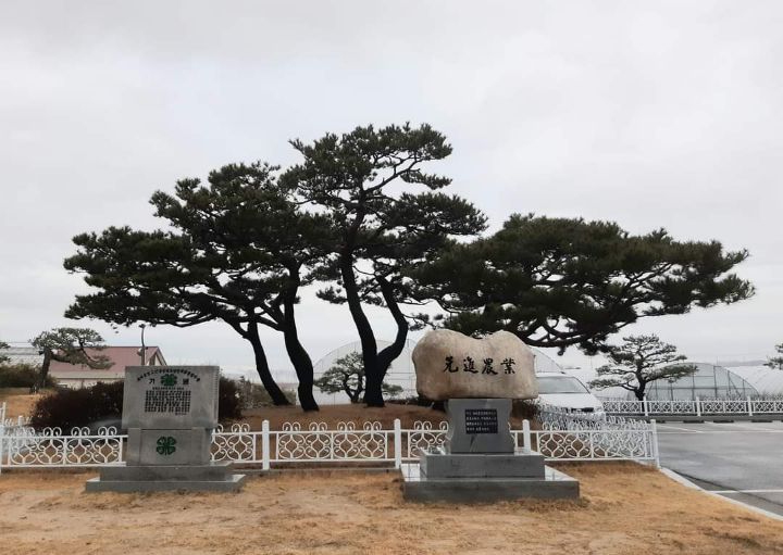 야간수업 이미지
