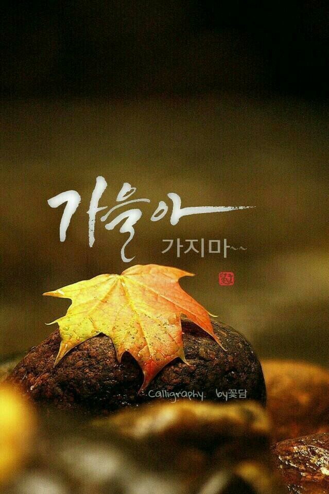 엄마반찬가게 이미지
