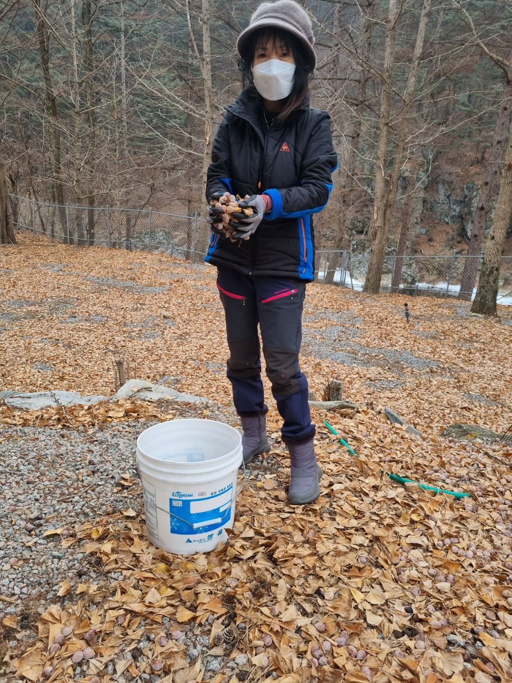 므찌다댄스 이미지