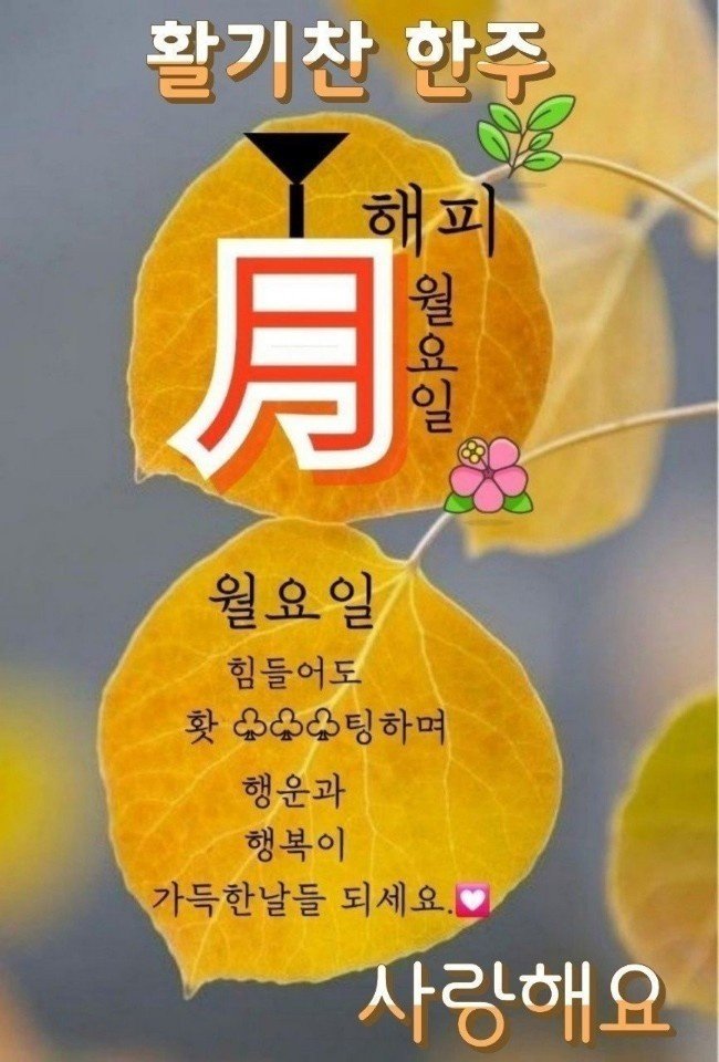 활기찬가마솥국밥 이미지