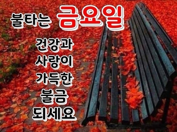 오늘도소담 이미지