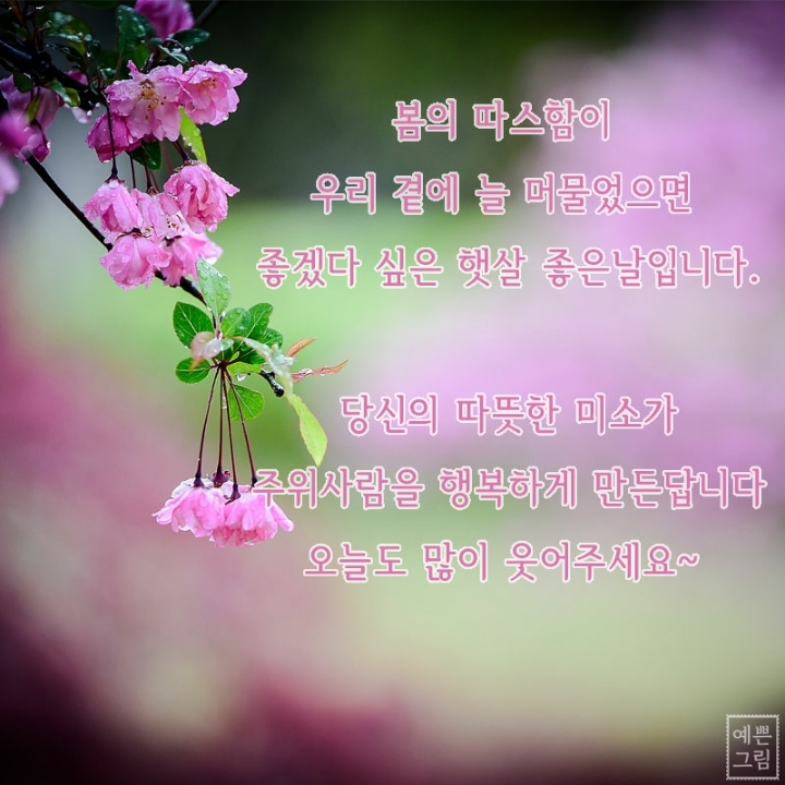 기분좋은날 이미지