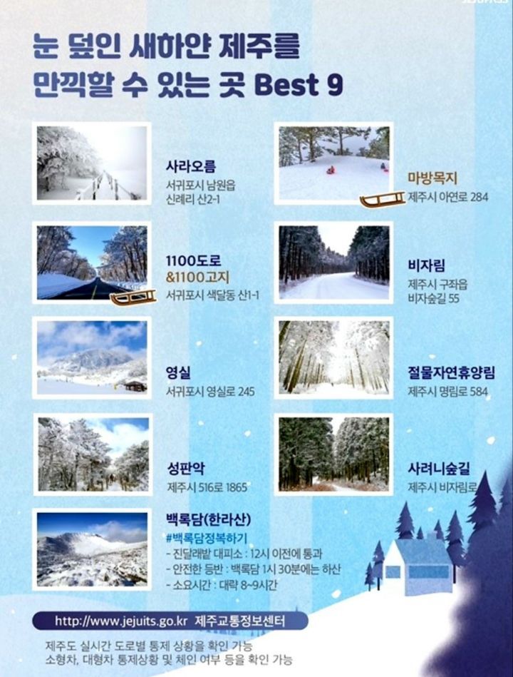 워크인제주 이미지