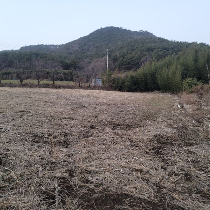 나눔농장 이미지