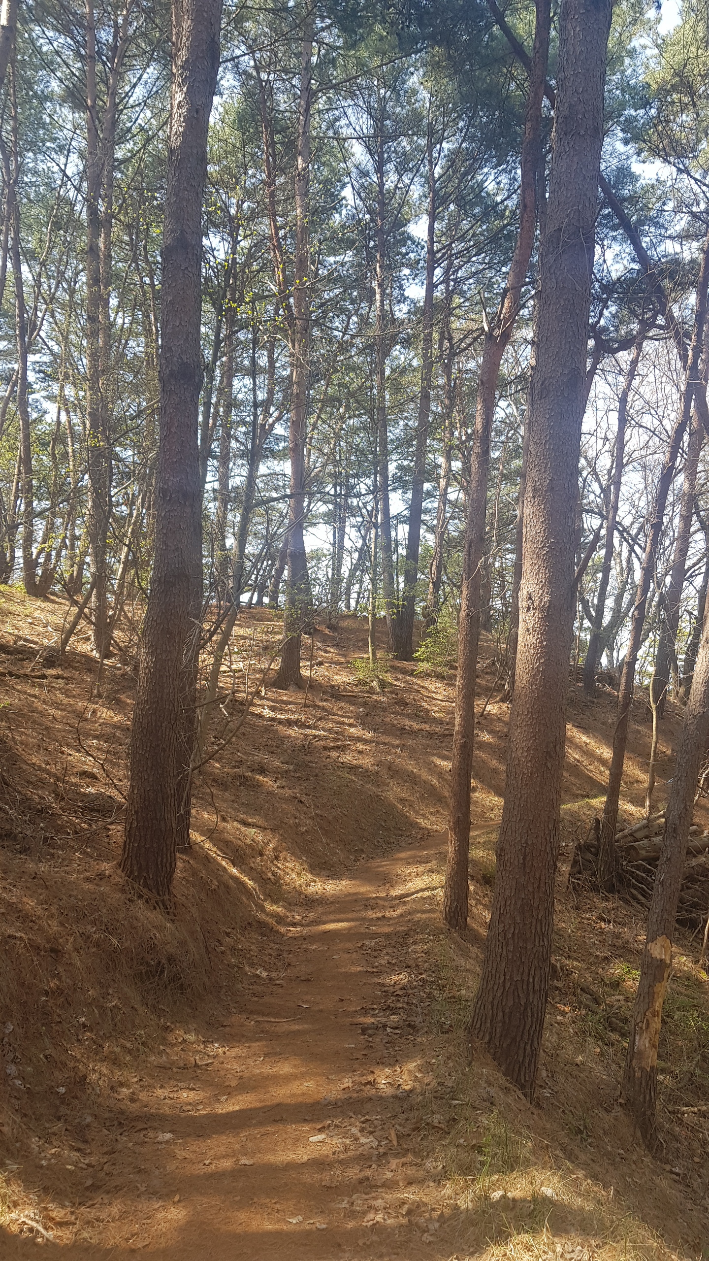 4월16일 치악산 둘레길 - ★국내여행 앨범 - 개미여행사 개미여행사