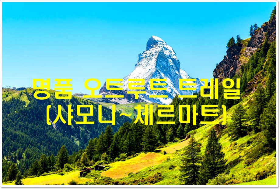 루트 이미지