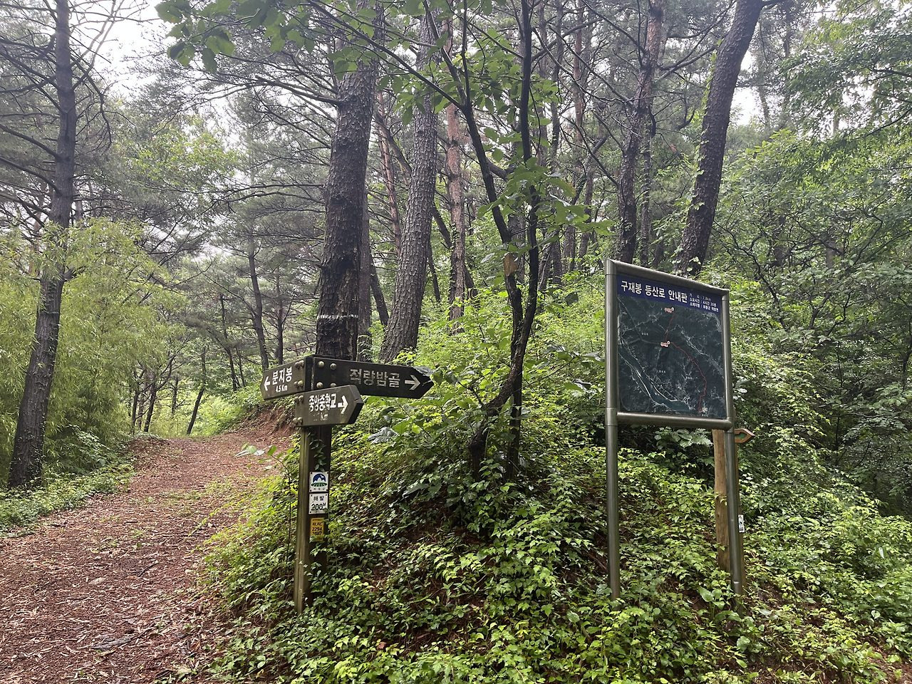 지리산풀잎 이미지