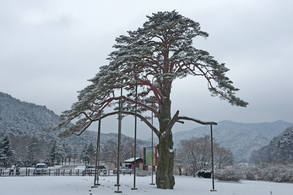 속리산동행 이미지