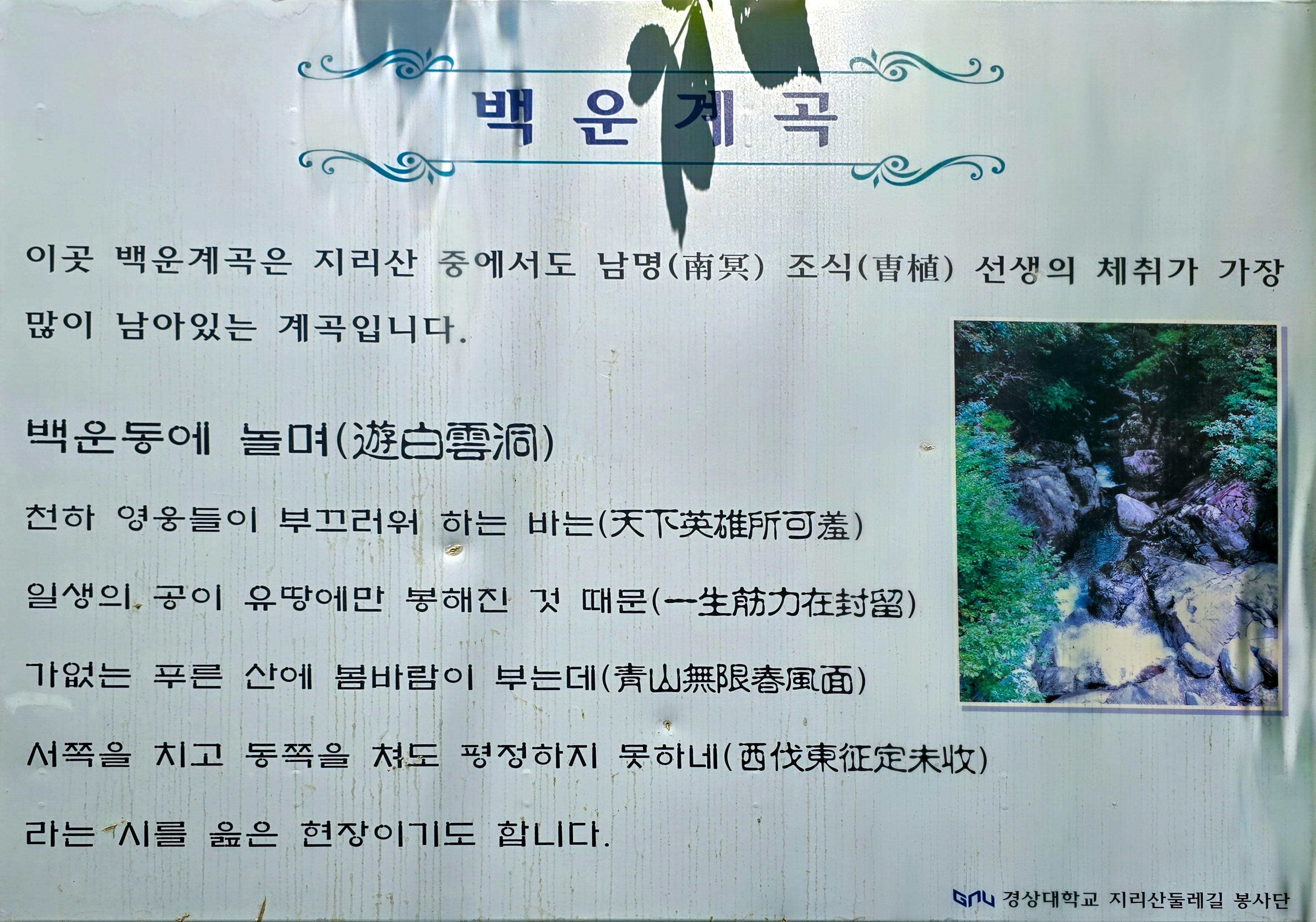 참나무 숲길 이미지