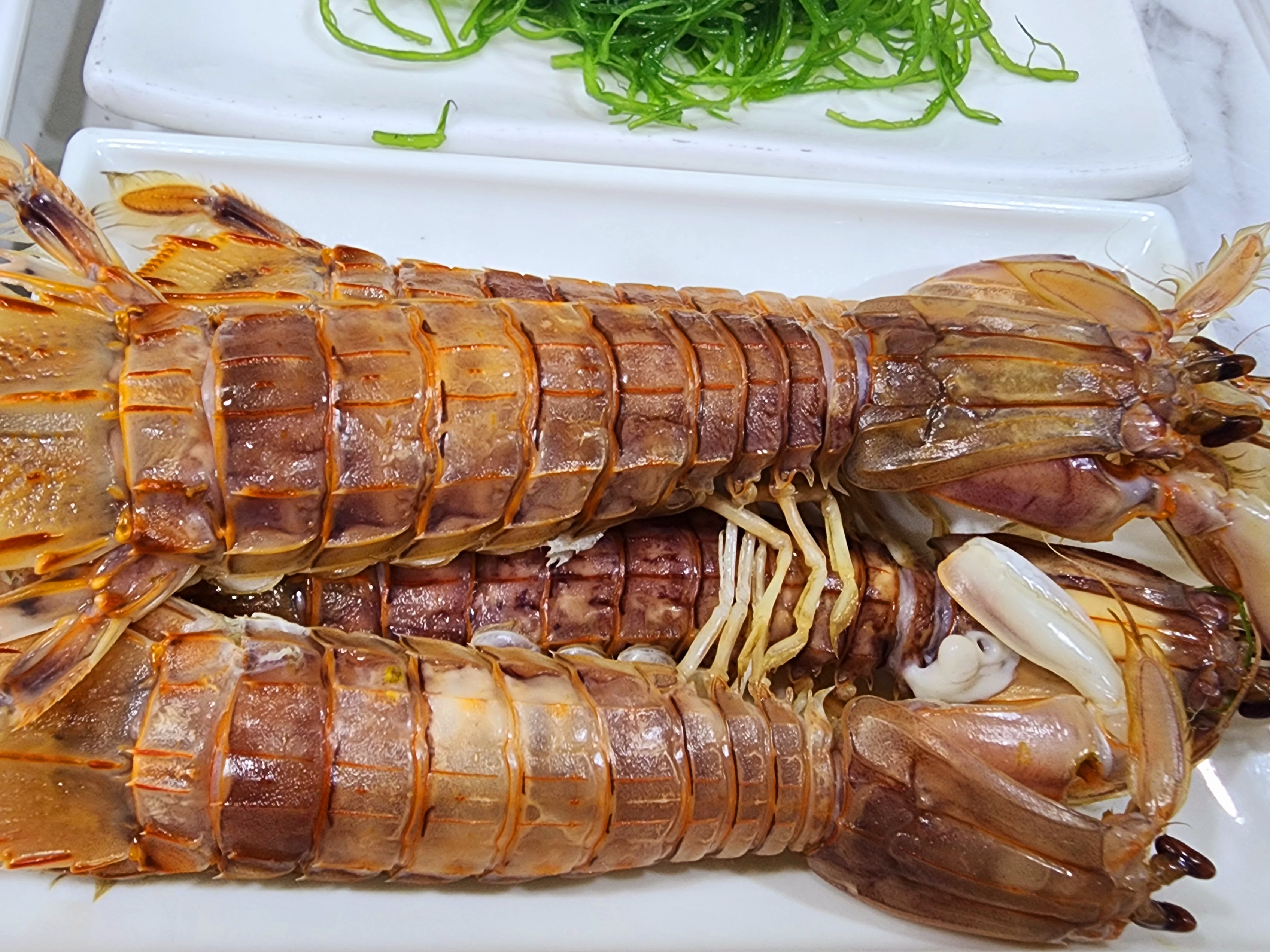 사계절식당 이미지