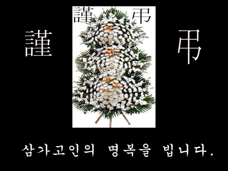 든솔 이미지