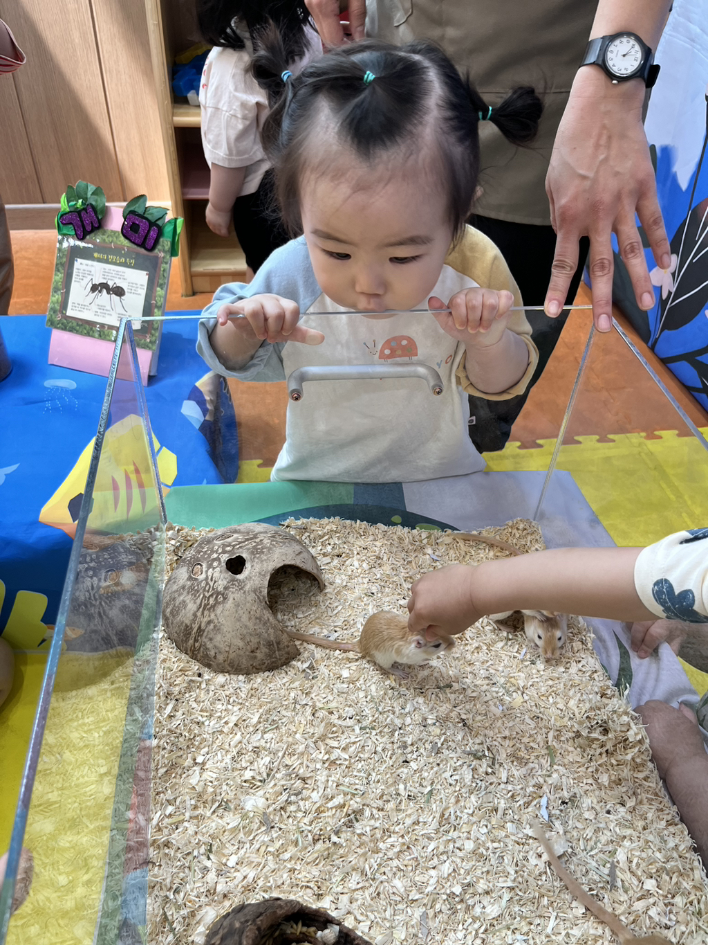 공감펫토리 이미지