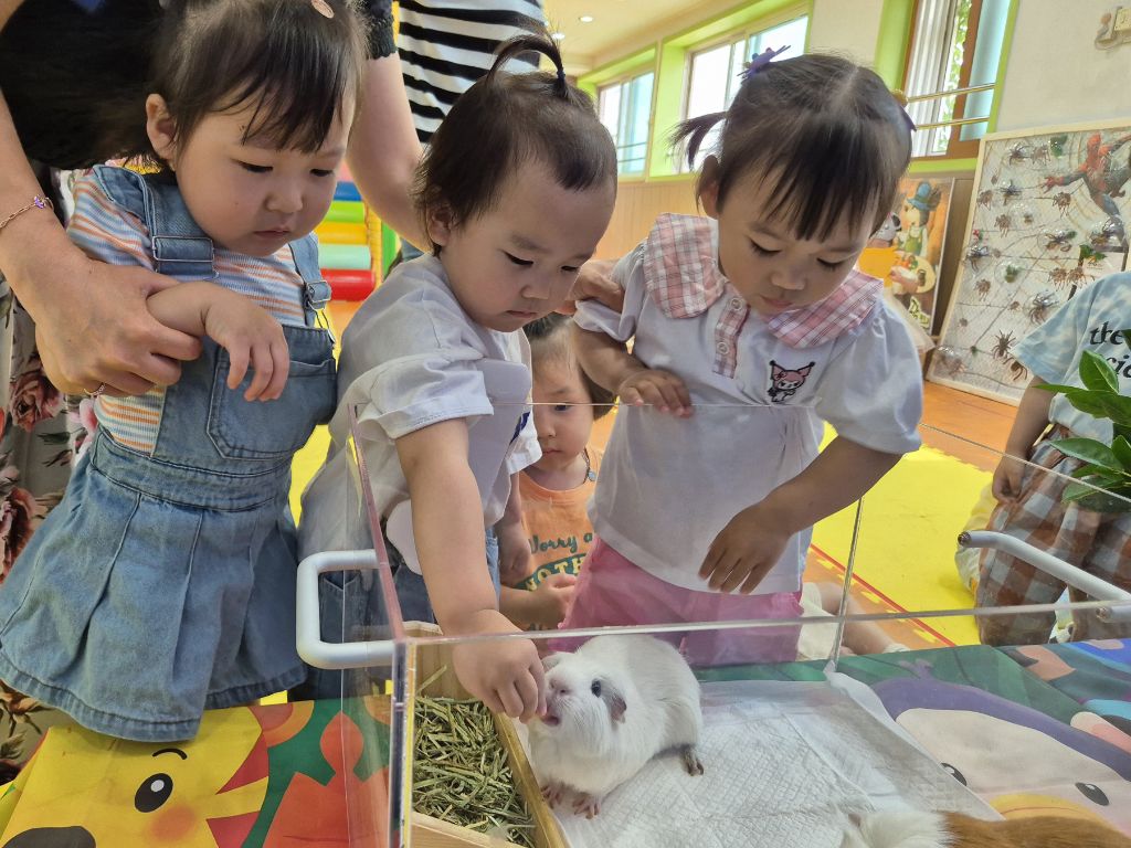 공감펫토리 이미지
