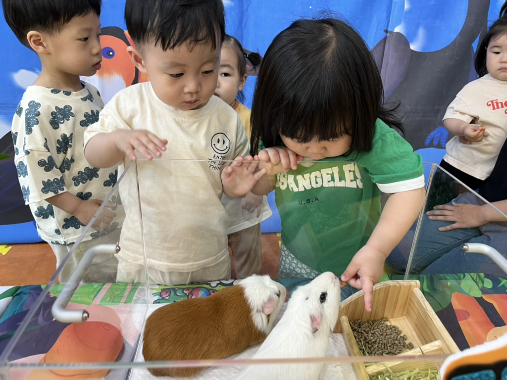 공감펫토리 이미지