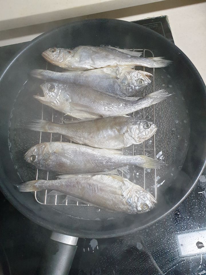 보리씨 이미지