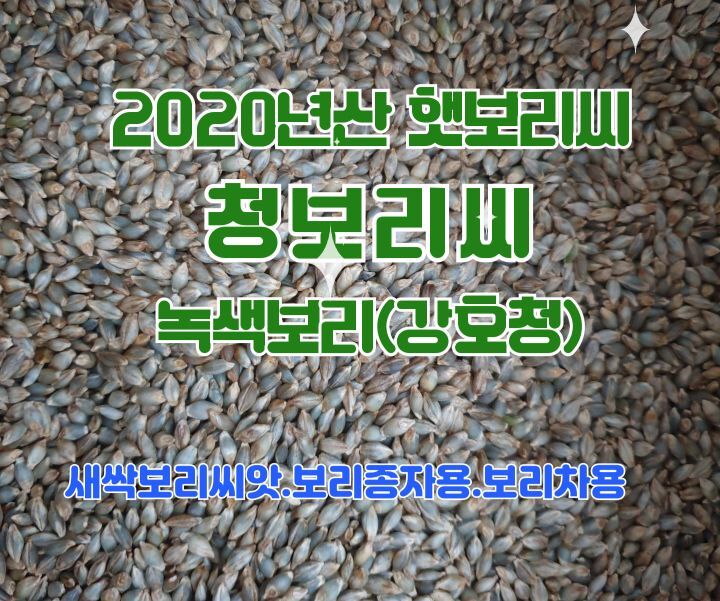 보리씨 이미지