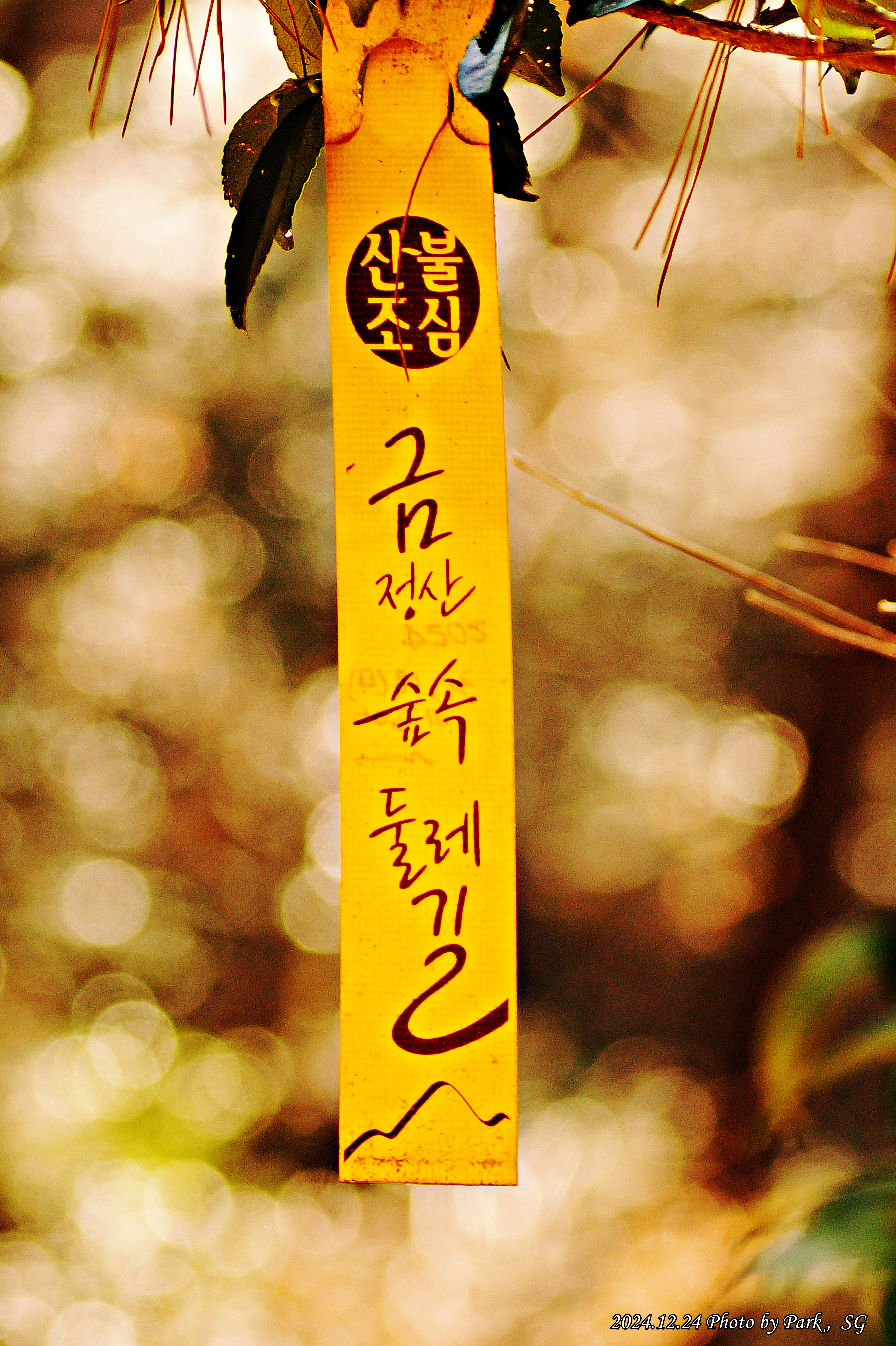 산행길 이미지