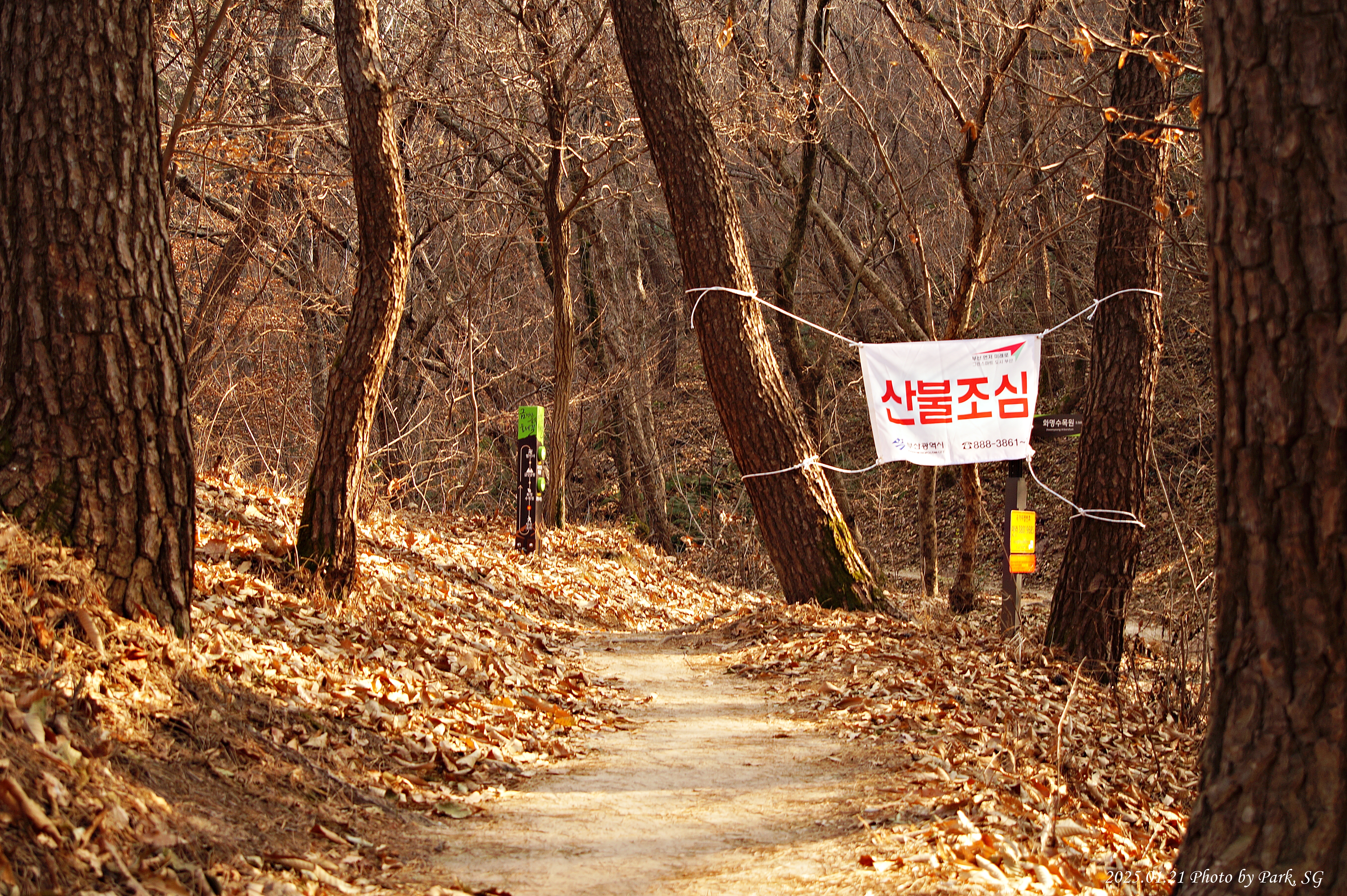 산행길 이미지