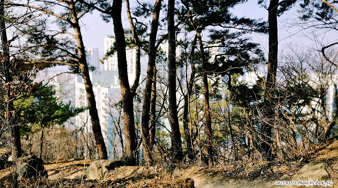 산행길 이미지