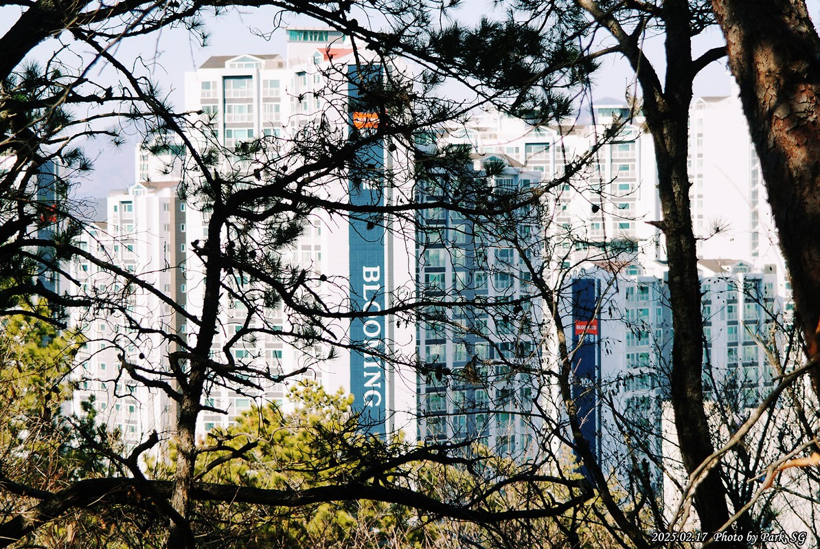 산행길 이미지