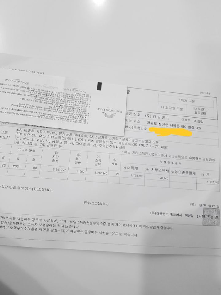 드빅 이미지