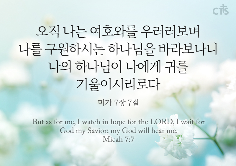 미가 이미지